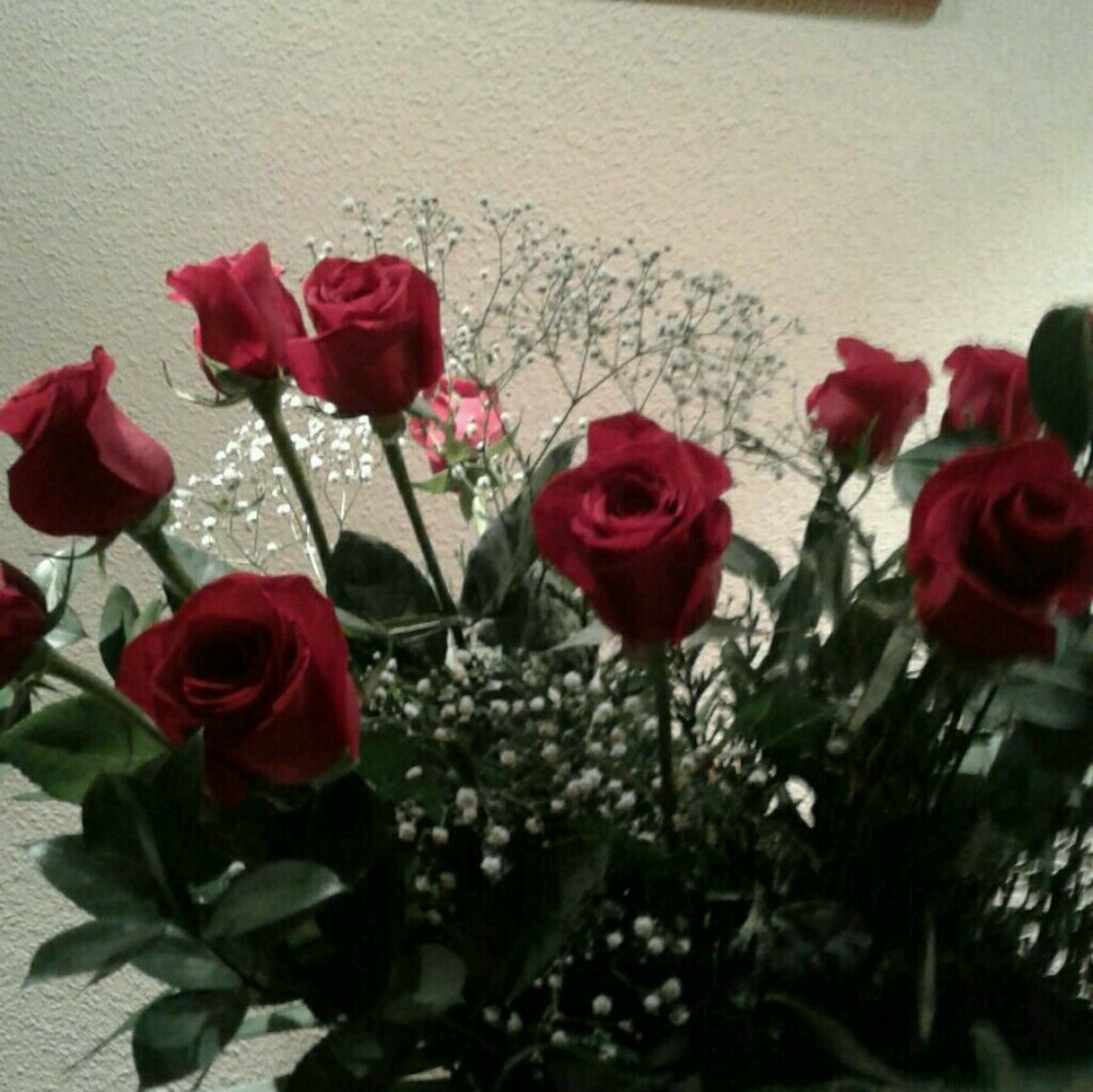 Meet your Posher, Marie